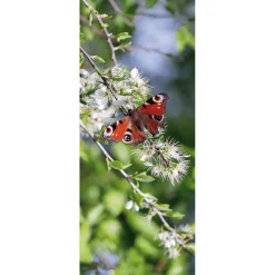 Schwer Entflammbarer Stoffbanner „roter Schmetterling Pfauenauge“ Aus Fahnenstoff 75 X 180 Cm