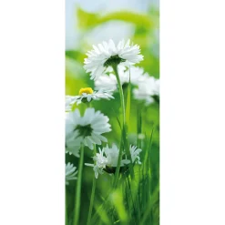 Schwer Entflammbarer Stoffbanner „weiße Gänseblümchen“ Aus Fahnenstoff 75 X 180 Cm