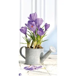 Schwer Entflammbarer Stoffbanner „lila Krokusse In Der Gießkanne“ Aus Fahnenstoff 100 X 200 Cm