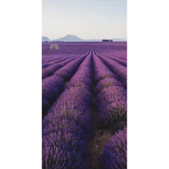 Schwer Entflammbarer Stoffbanner „Lavendelfeld In Der Provence“ Aus Fahnenstoff 100 X 200 Cm