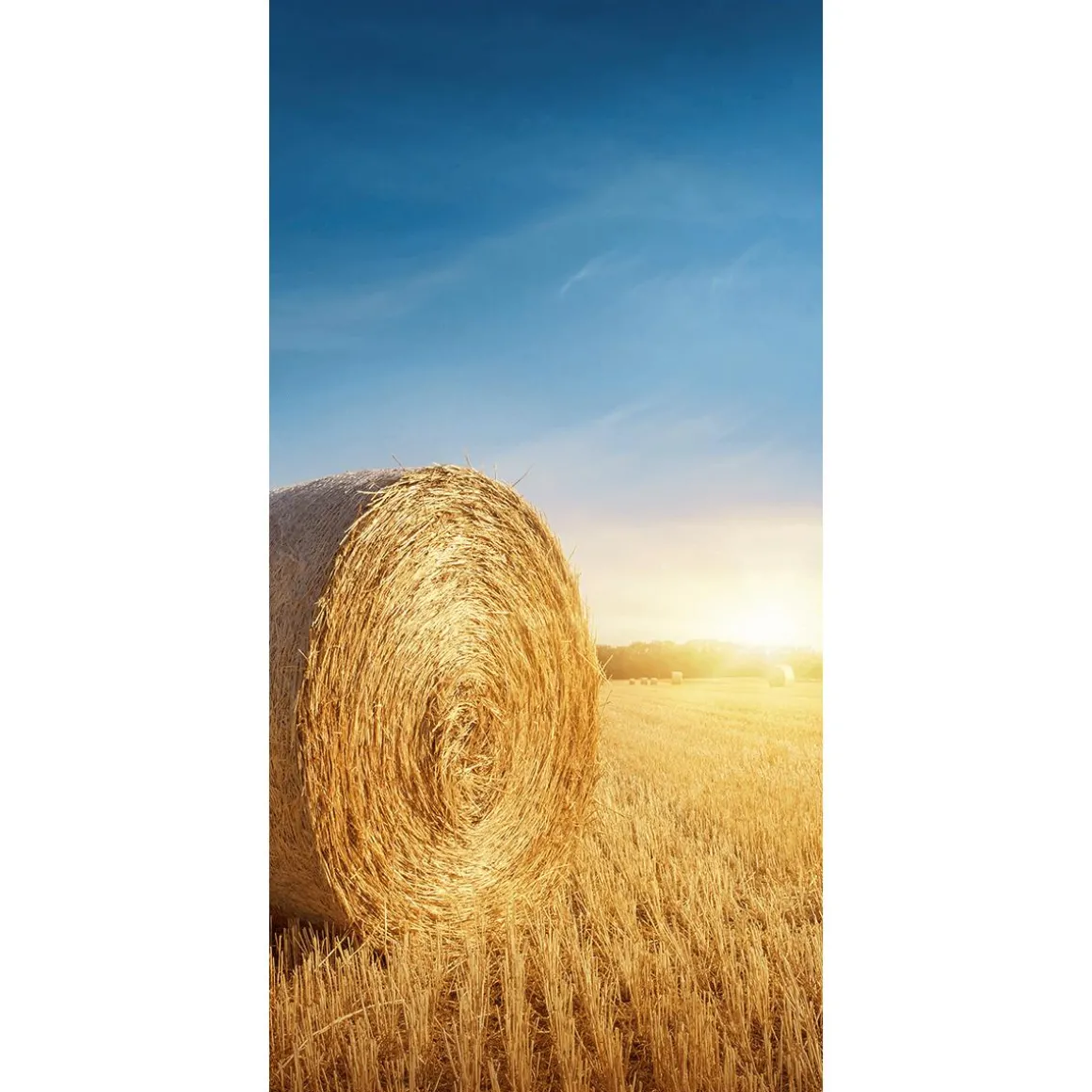 Schwer Entflammbarer Stoffbanner „goldene Strohballen“ Aus Fahnenstoff 100 X 200 Cm