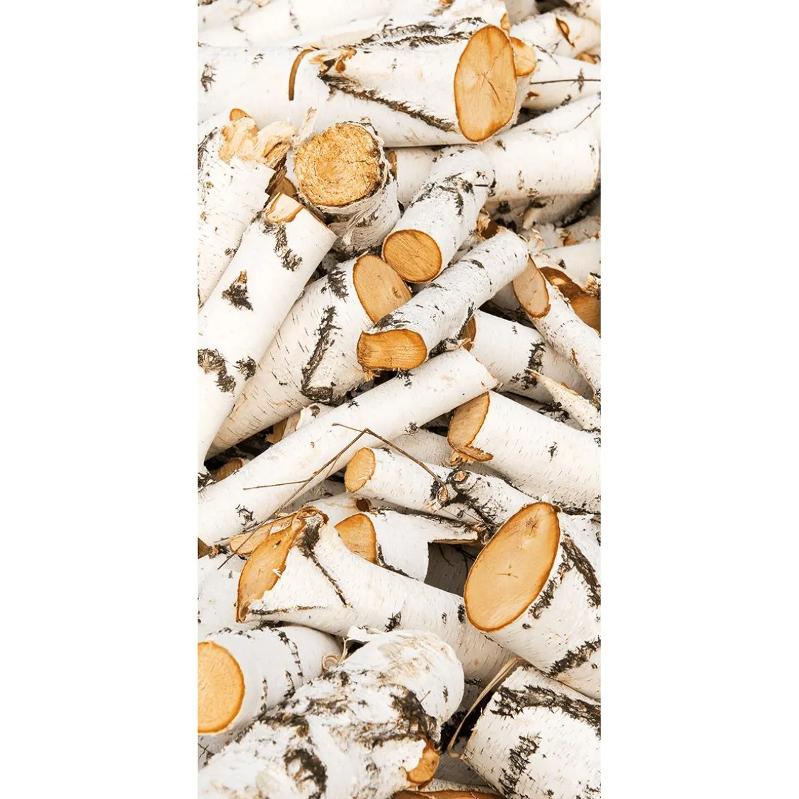 Schwer Entflammbarer Stoffbanner „weiße Birkenholzstämme“ Aus Fahnenstoff 100 X 200 Cm