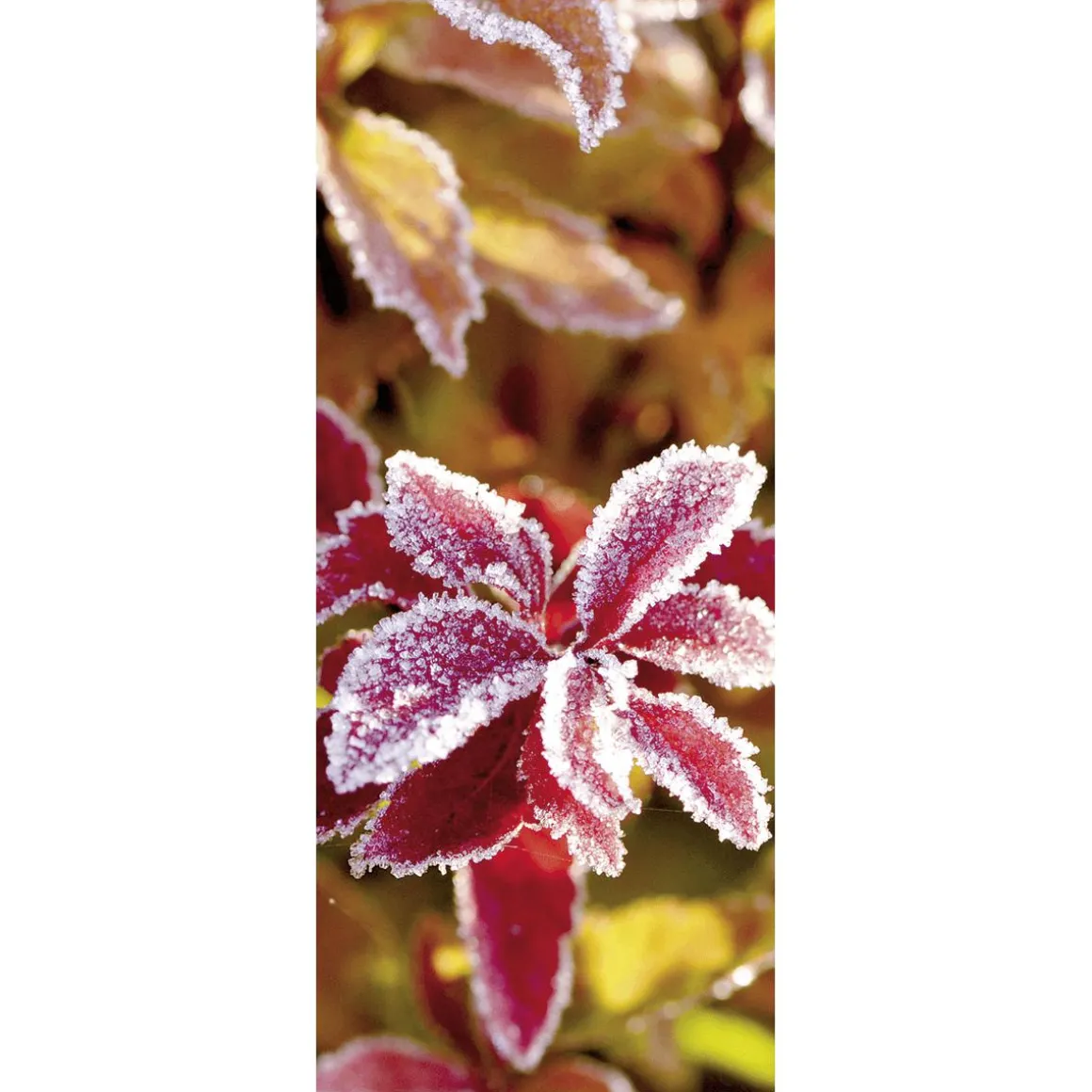 Schwer Entflammbarer Stoffbanner "Rauhreif" 75 X 180 Cm