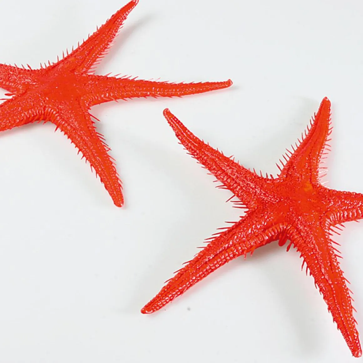 Seestern-Attrappe, Pack à 2 Stück