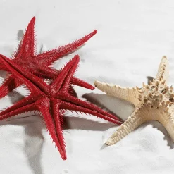 Seestern-Attrappe, Pack à 2 Stück