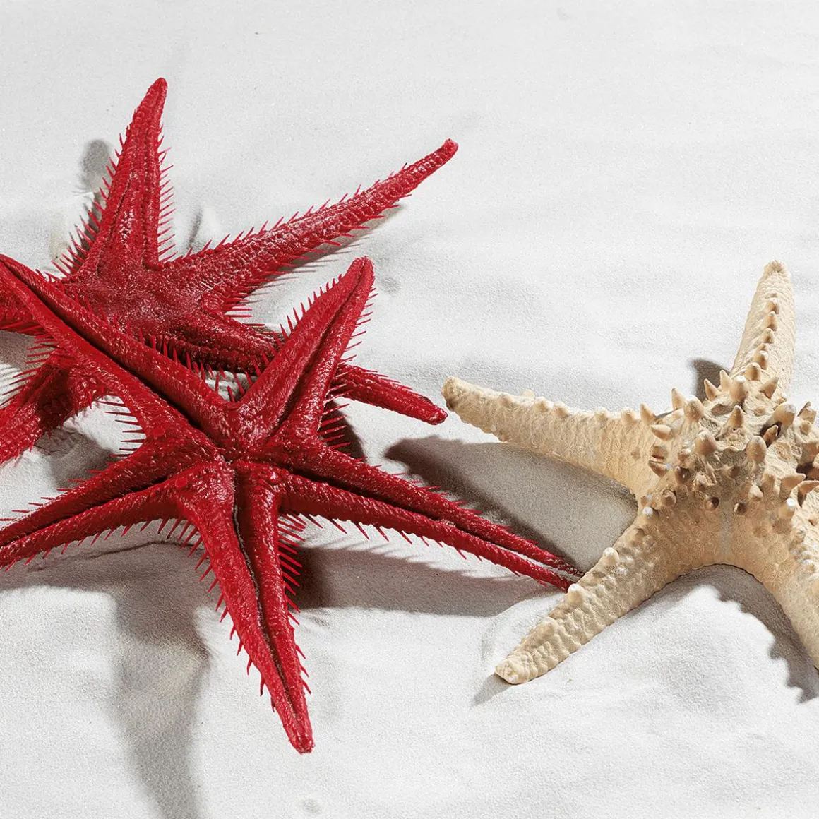 Seestern-Attrappe, Pack à 2 Stück