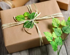 Sparpaket Geschenkverpackung Go Green Mit Weißem Raffia Und Juteband