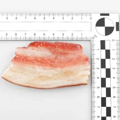 Speckscheiben Lebensmittel-Attrappe, Pack à 3 Stück