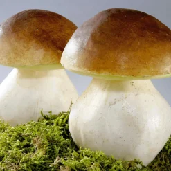 Steinpilze Lebensmittel-Attrappe 14 Cm, 2 Stück