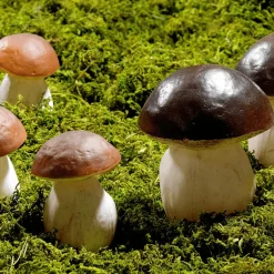 Steinpilze Lebensmittel-Attrappe 14 Cm, 2 Stück