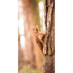Stoffbanner Eichhörnchen 100 X 200 Cm