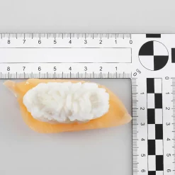 Sushi-Set Lebensmittel-Attrappe, Set 4 Stück