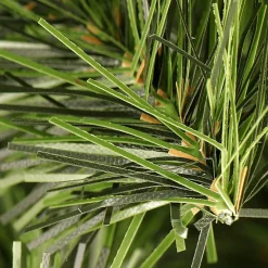 Tannengirlande Standard 270 Cm, 30 Cm Ø