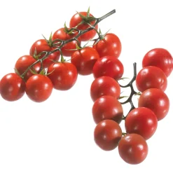 Tomaten Rispen Rot Lebensmittel-Attrappe, 2 Rispen