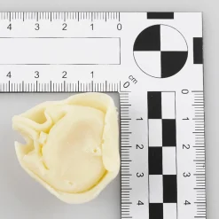 Tortellini Lebensmittel-Attrappe, 10 Stück