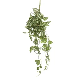 Tradecantiahänger 65 Cm Grün