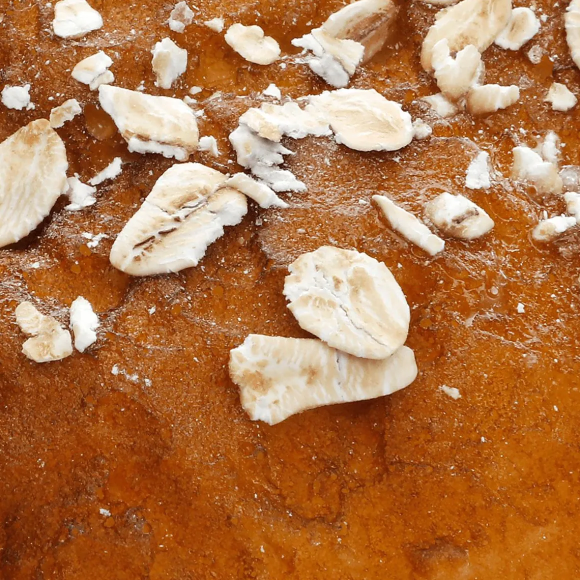 Vollkornbrötchen Mit Haferflocken Lebensmittel-Attrappe 8 Cm