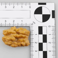 Walnuß-Kerne, Groß -Lebensmittel-Attrappe 100 G Beutel