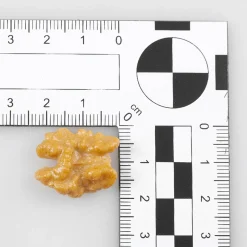 Walnuss Hälften Klein Lebensmittel-Attrappe, 12 Stück