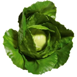 Weißkohl Lebensmittel-Attrappe, 13 Cm Ø