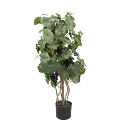 Weinrebenpflanze Im Topf Mit Trauben 90 Cm