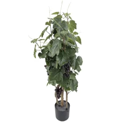 Weinrebenpflanze Im Topf Mit Trauben 90 Cm