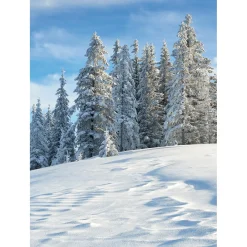 XL-Stoffbanner "Verschneiter Tannenwald" Aus Schwer Entflammbarem Fahnenstoff 150 X 200 Cm