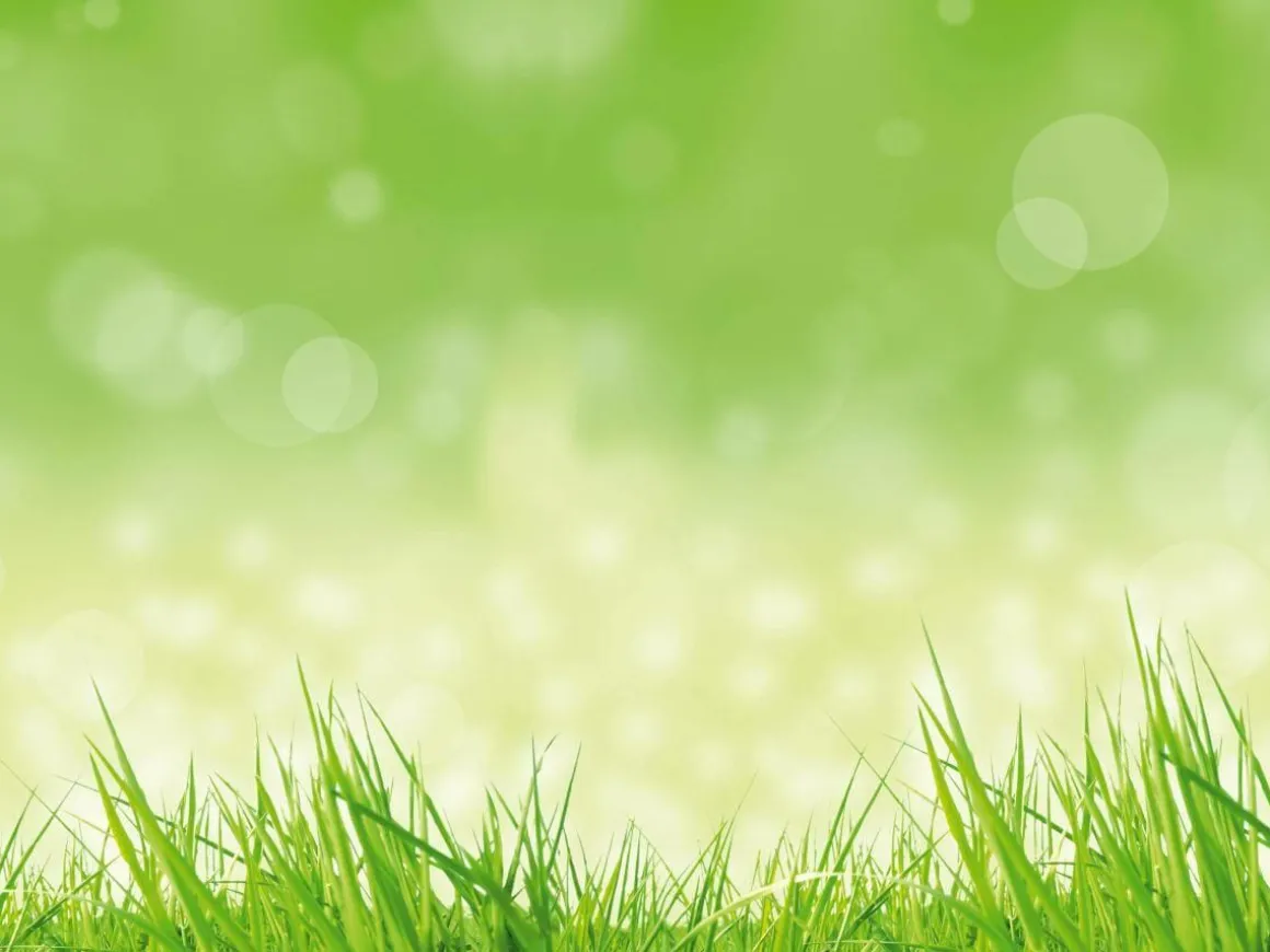 XXL-Planenbanner "Frühlingsgras" Aus Schwer Entflammbarer LKW-Plane 250 X 330 Cm