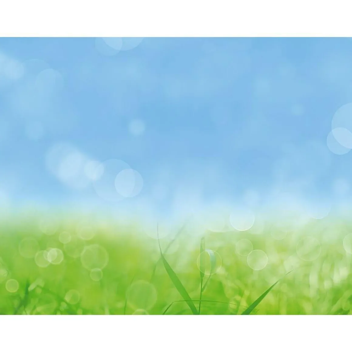 XXL-Planenbanner "Frühlingswiese" Aus Schwer Entflammbarer LKW-Plane 250 X 330 Cm