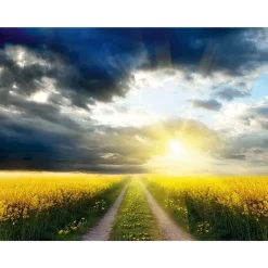 XXL-Planenbanner "Rapsfeld" Aus Schwer Entflammbarer LKW-Plane 250 X 330 Cm