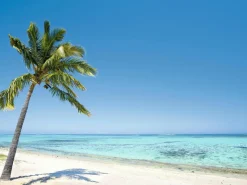 XXL-Planenbanner "Tropischer Palmenstrand" Aus Schwer Entflammbarer LKW-Plane 250 X 330 Cm