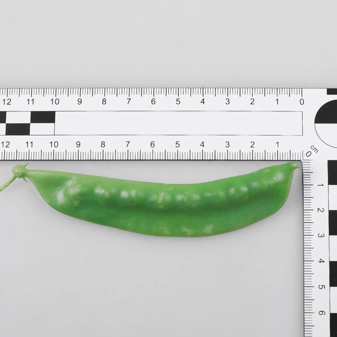 Zuckerschoten Lebensmittel-Attrappe, 24 Stück