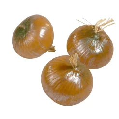 Zwiebel Lebensmittel-Attrappe, Pack à 3 Stück